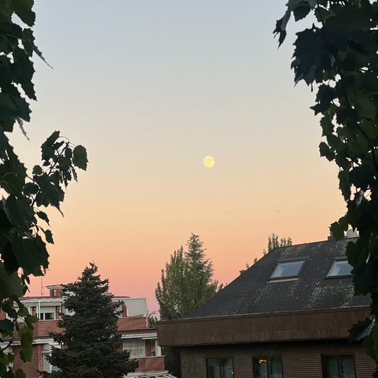 🌕 Octubre 2025: cuando la Luna del Cazador se convierte en la Luna de la Cosecha