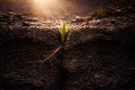 La Luna del Gusano: cuando la tierra se abre y tú decides quién eres